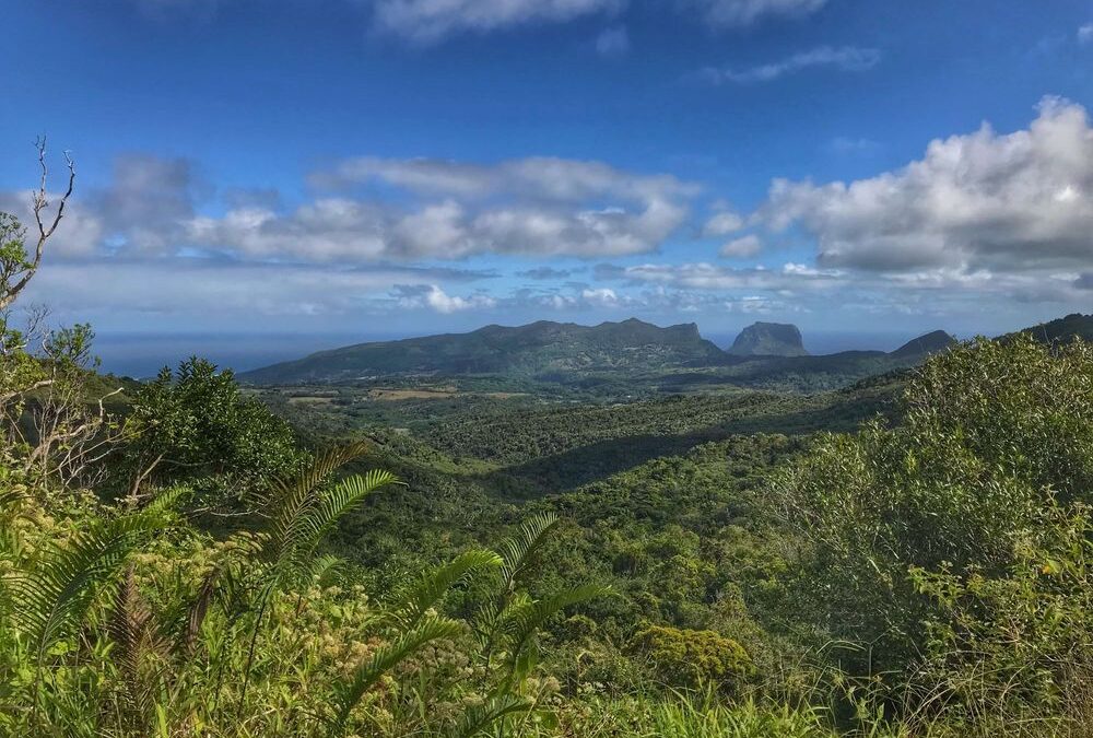 Unleash Adventure: Trekking and Hiking in Mauritius