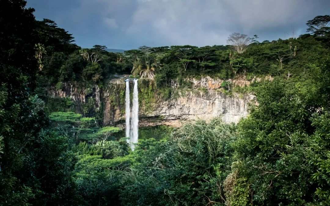 Hike to Chamarel Waterfall: A Journey to Nature’s Oasis