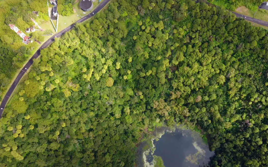 Soak Up the Views from Trou aux Cerfs Volcano